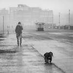 Animals, People, Weather, 10s