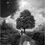 Views, Animals, People, Plants